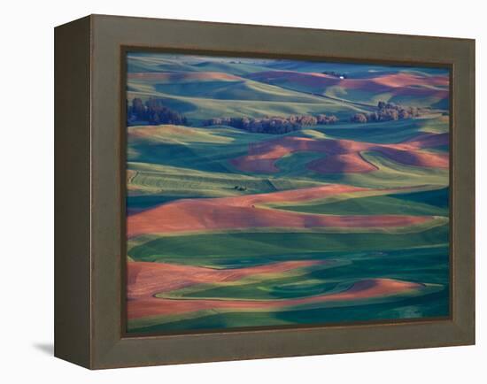 Palouse Region From Steptoe Butte, Whitman County, Washington, USA-Brent Bergherm-Framed Premier Image Canvas