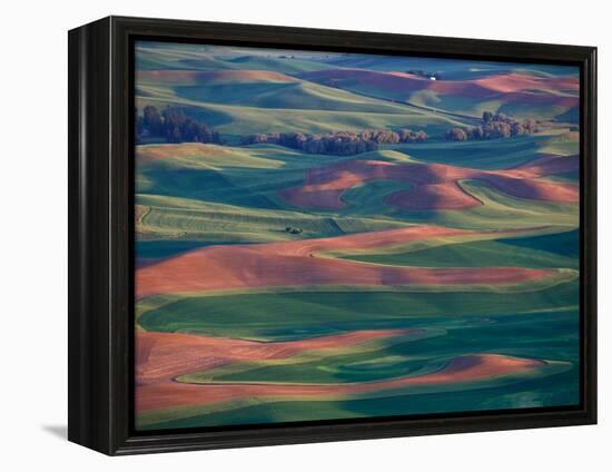 Palouse Region From Steptoe Butte, Whitman County, Washington, USA-Brent Bergherm-Framed Premier Image Canvas