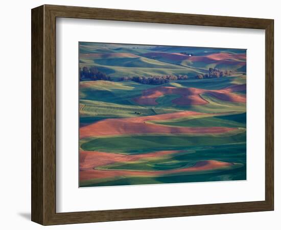 Palouse Region From Steptoe Butte, Whitman County, Washington, USA-Brent Bergherm-Framed Photographic Print