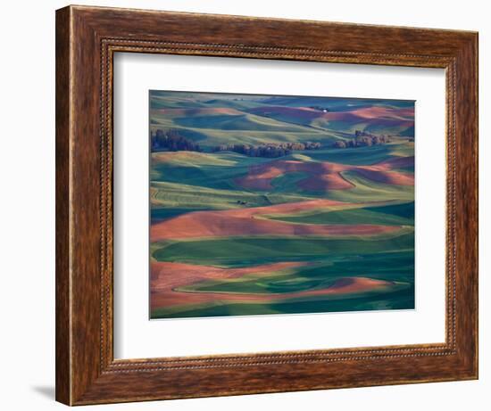 Palouse Region From Steptoe Butte, Whitman County, Washington, USA-Brent Bergherm-Framed Photographic Print