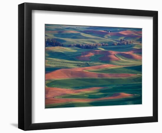 Palouse Region From Steptoe Butte, Whitman County, Washington, USA-Brent Bergherm-Framed Photographic Print