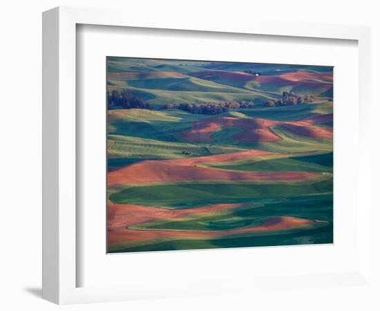 Palouse Region From Steptoe Butte, Whitman County, Washington, USA-Brent Bergherm-Framed Photographic Print