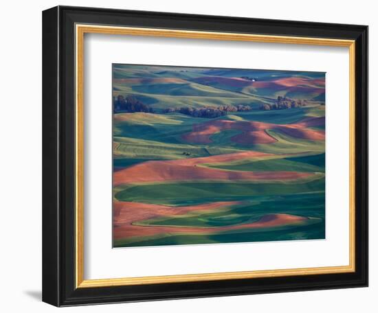 Palouse Region From Steptoe Butte, Whitman County, Washington, USA-Brent Bergherm-Framed Photographic Print