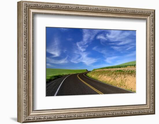 Palouse Road-Ursula Abresch-Framed Photographic Print