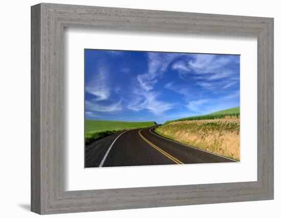 Palouse Road-Ursula Abresch-Framed Photographic Print