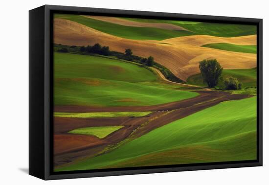 Palouse, Steptoe Butte, Agriculture Patterns, Whitman County, Washington, USA-Michel Hersen-Framed Premier Image Canvas