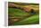 Palouse, Steptoe Butte, Agriculture Patterns, Whitman County, Washington, USA-Michel Hersen-Framed Premier Image Canvas