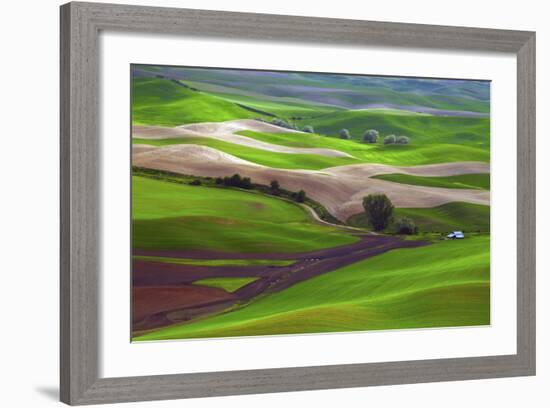 Palouse, Steptoe Butte, Agriculture Patterns, Whitman County, Washington, USA-Michel Hersen-Framed Photographic Print