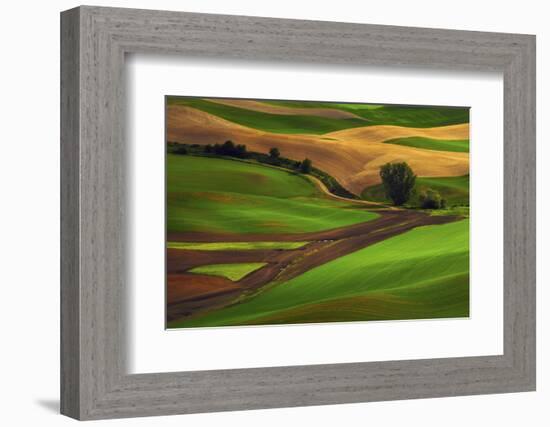 Palouse, Steptoe Butte, Agriculture Patterns, Whitman County, Washington, USA-Michel Hersen-Framed Photographic Print