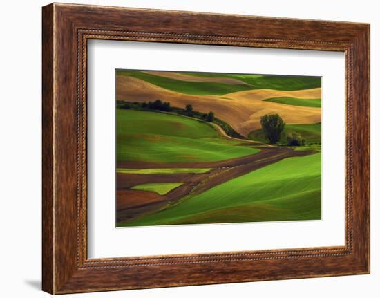 Palouse, Steptoe Butte, Agriculture Patterns, Whitman County, Washington, USA-Michel Hersen-Framed Photographic Print