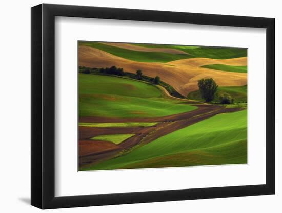 Palouse, Steptoe Butte, Agriculture Patterns, Whitman County, Washington, USA-Michel Hersen-Framed Photographic Print