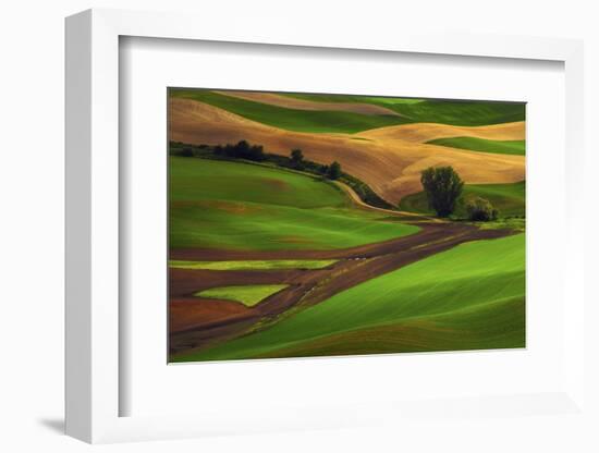 Palouse, Steptoe Butte, Agriculture Patterns, Whitman County, Washington, USA-Michel Hersen-Framed Photographic Print