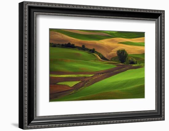 Palouse, Steptoe Butte, Agriculture Patterns, Whitman County, Washington, USA-Michel Hersen-Framed Photographic Print