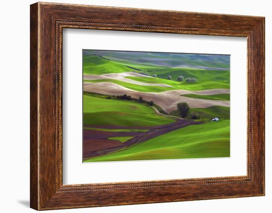 Palouse, Steptoe Butte, Agriculture Patterns, Whitman County, Washington, USA-Michel Hersen-Framed Photographic Print