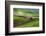 Palouse, Steptoe Butte, Agriculture Patterns, Whitman County, Washington, USA-Michel Hersen-Framed Photographic Print