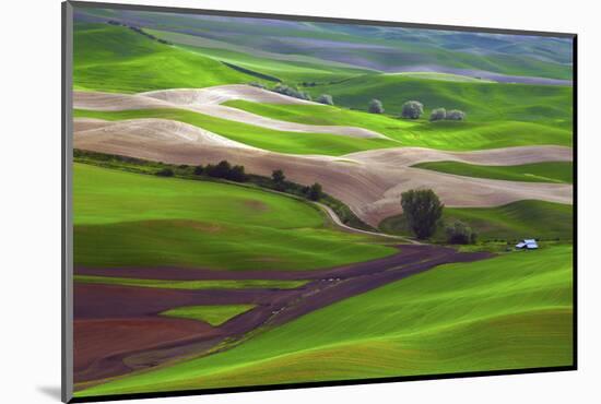 Palouse, Steptoe Butte, Agriculture Patterns, Whitman County, Washington, USA-Michel Hersen-Mounted Photographic Print