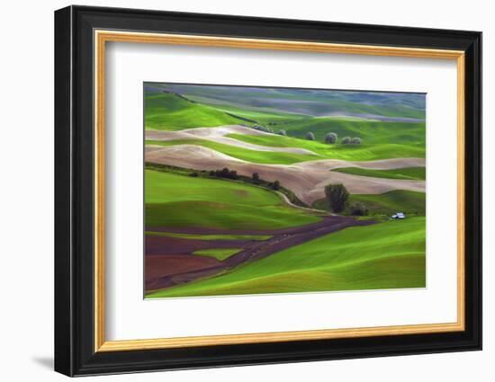 Palouse, Steptoe Butte, Agriculture Patterns, Whitman County, Washington, USA-Michel Hersen-Framed Photographic Print