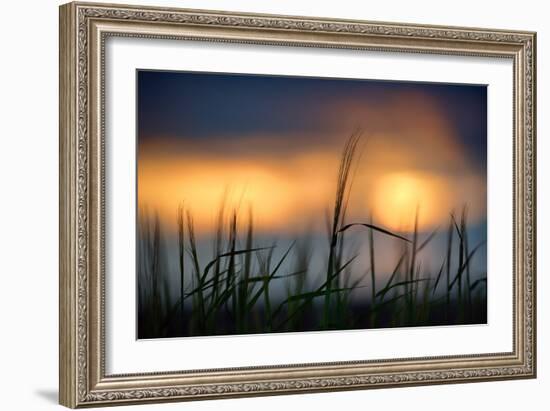 Palouse Sundown-Ursula Abresch-Framed Photographic Print