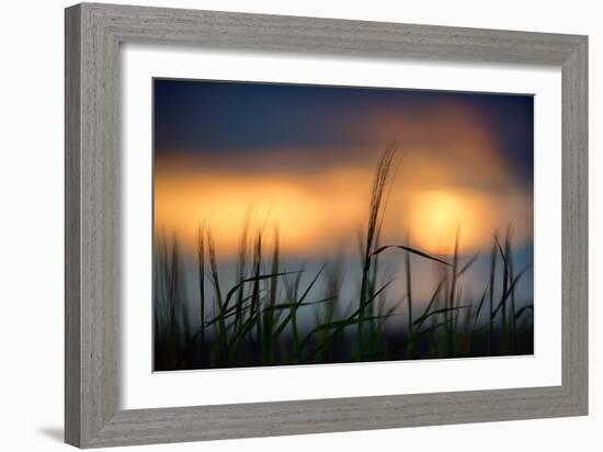 Palouse Sundown-Ursula Abresch-Framed Photographic Print