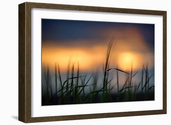 Palouse Sundown-Ursula Abresch-Framed Photographic Print