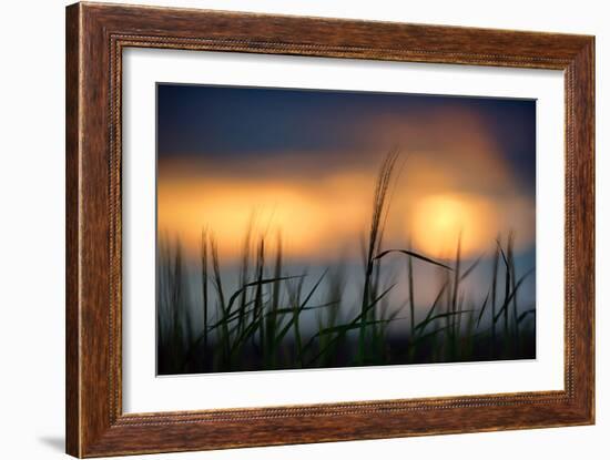 Palouse Sundown-Ursula Abresch-Framed Photographic Print