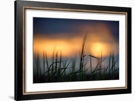 Palouse Sundown-Ursula Abresch-Framed Photographic Print