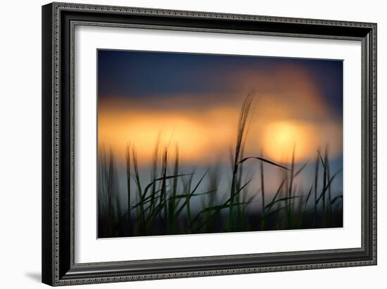 Palouse Sundown-Ursula Abresch-Framed Photographic Print