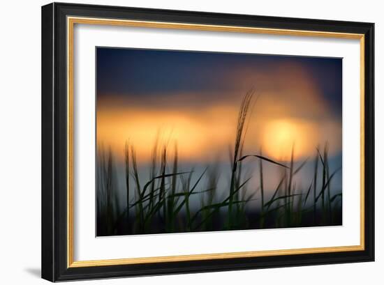 Palouse Sundown-Ursula Abresch-Framed Photographic Print