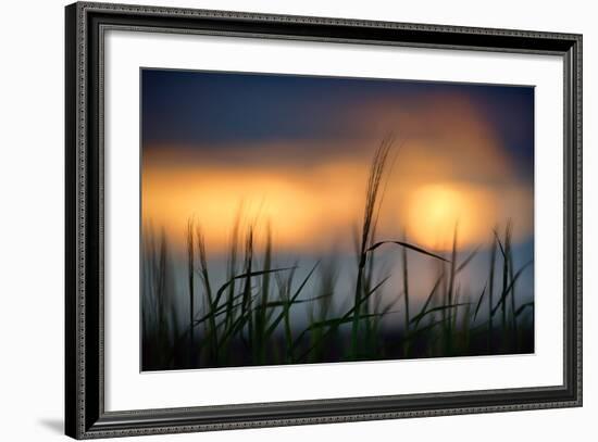 Palouse Sundown-Ursula Abresch-Framed Photographic Print