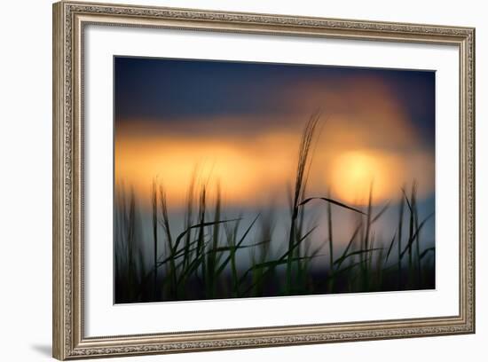 Palouse Sundown-Ursula Abresch-Framed Photographic Print