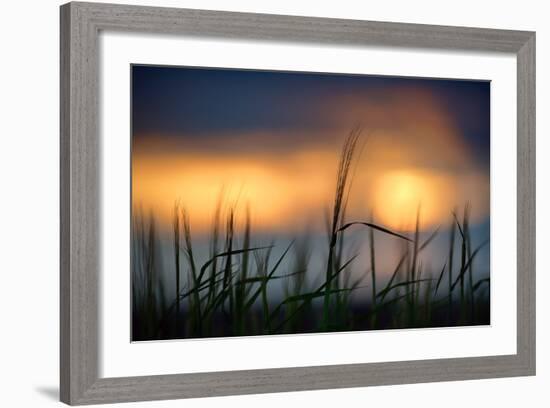 Palouse Sundown-Ursula Abresch-Framed Photographic Print