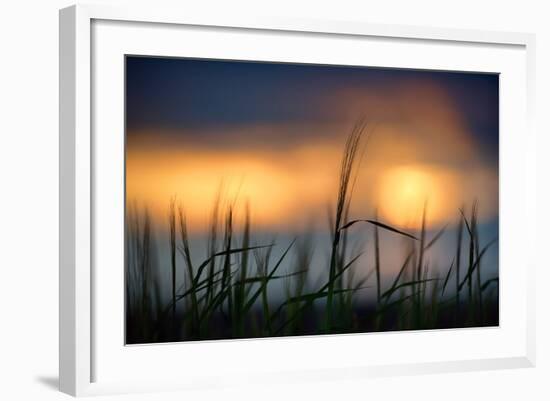 Palouse Sundown-Ursula Abresch-Framed Photographic Print