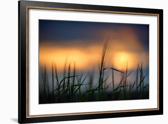 Palouse Sundown-Ursula Abresch-Framed Photographic Print