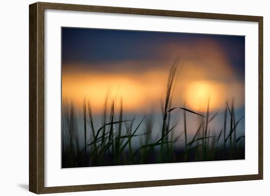 Palouse Sundown-Ursula Abresch-Framed Photographic Print