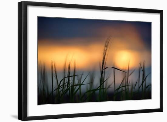 Palouse Sundown-Ursula Abresch-Framed Photographic Print