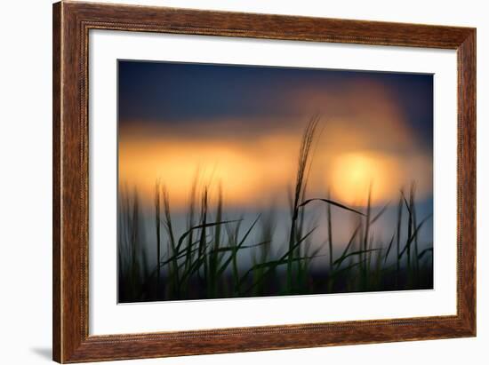 Palouse Sundown-Ursula Abresch-Framed Photographic Print