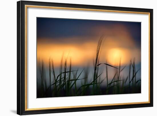 Palouse Sundown-Ursula Abresch-Framed Photographic Print