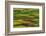 Palouse View from Steptoe Butte of Agriculture Cultivation Patterns, Washington, USA-Michel Hersen-Framed Photographic Print