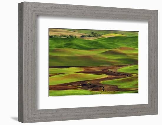 Palouse View from Steptoe Butte of Agriculture Cultivation Patterns, Washington, USA-Michel Hersen-Framed Photographic Print