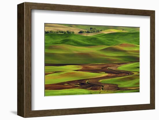 Palouse View from Steptoe Butte of Agriculture Cultivation Patterns, Washington, USA-Michel Hersen-Framed Photographic Print