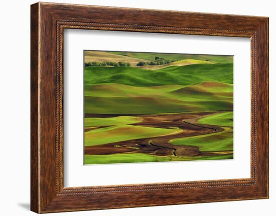 Palouse View from Steptoe Butte of Agriculture Cultivation Patterns, Washington, USA-Michel Hersen-Framed Photographic Print