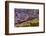 Palouse, Washington-Art Wolfe-Framed Photographic Print