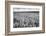 Palouse Wheat Field, Washington-James White-Framed Photographic Print