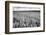 Palouse Wheat Field, Washington-James White-Framed Photographic Print