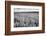 Palouse Wheat Field, Washington-James White-Framed Photographic Print