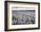 Palouse Wheat Field, Washington-James White-Framed Photographic Print