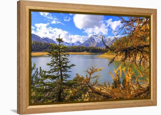 Palu Lake during autumn, Valmalenco, Valtellina, Lombardy, Italy, Europe-Francesco Bergamaschi-Framed Premier Image Canvas