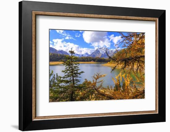 Palu Lake during autumn, Valmalenco, Valtellina, Lombardy, Italy, Europe-Francesco Bergamaschi-Framed Photographic Print