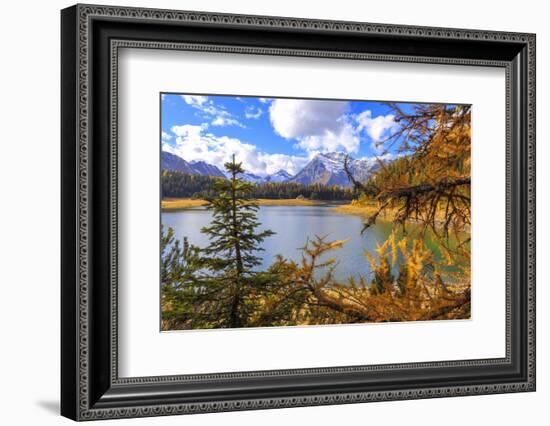 Palu Lake during autumn, Valmalenco, Valtellina, Lombardy, Italy, Europe-Francesco Bergamaschi-Framed Photographic Print