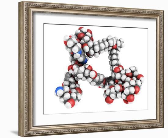 Palytoxin Molecule-Laguna Design-Framed Photographic Print